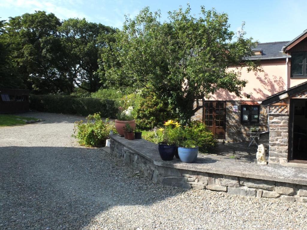 Bed and Breakfast Penybont Aberystwyth Exterior foto